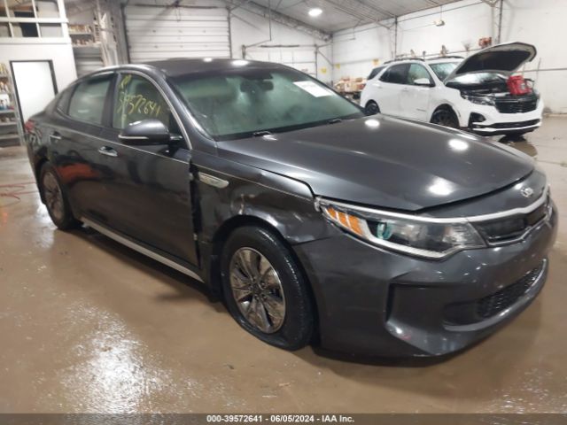 KIA OPTIMA 2017 knagt4le4h5010112