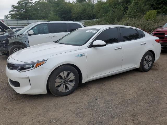 KIA OPTIMA 2017 knagt4le7h5014400