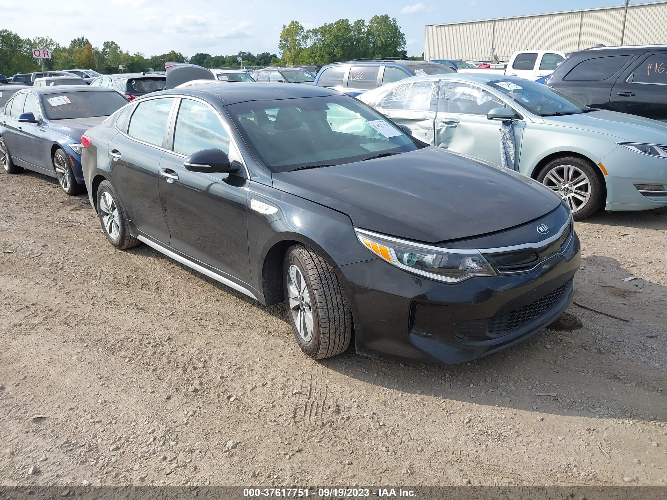 KIA OPTIMA 2017 knagt4lexh5009255