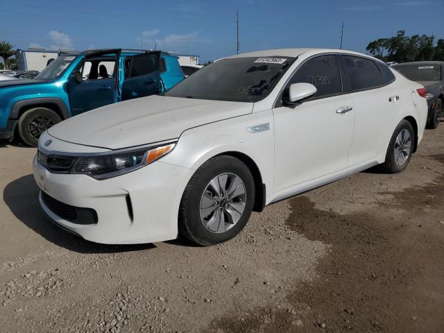 KIA OPTIMA HYB 2017 knagt4lexh5010650