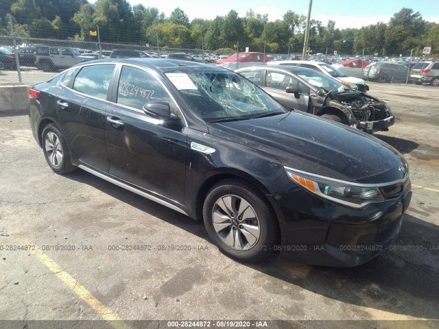 KIA OPTIMA HYBRID 2017 knagt4lexh5016271