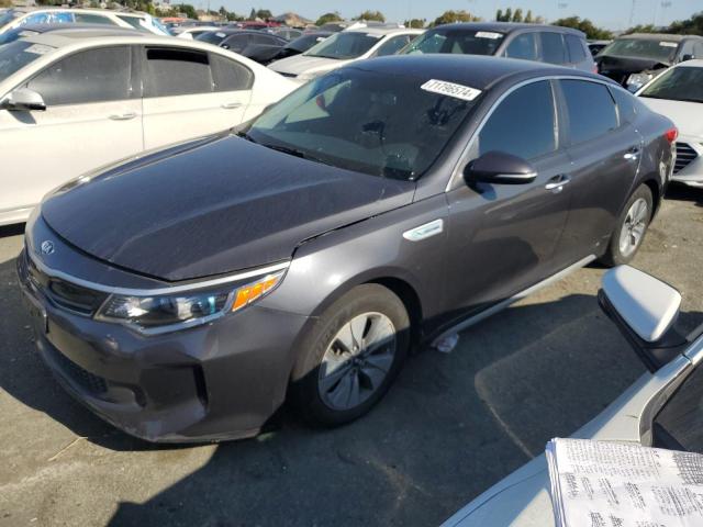 KIA OPTIMA HYB 2017 knagt4lexh5016349