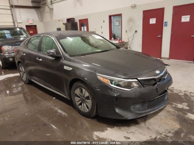 KIA OPTIMA HYBRID 2017 knagt4lexh5019333