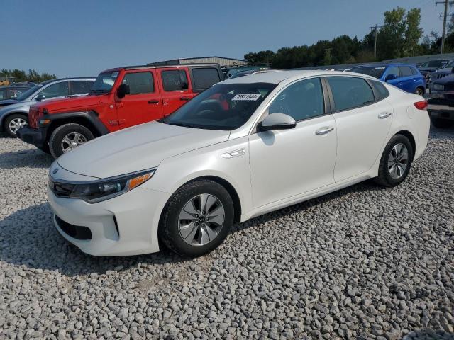 KIA OPTIMA HYB 2017 knagt4lexh5019381