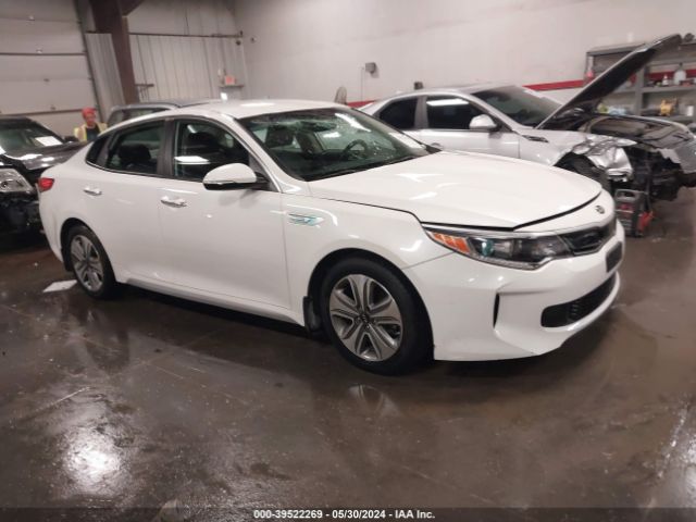 KIA OPTIMA 2017 knagu4le3h5017811