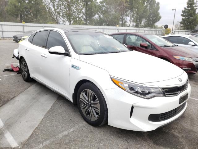 KIA OPTIMA HYB 2019 knagu4le3k5031859