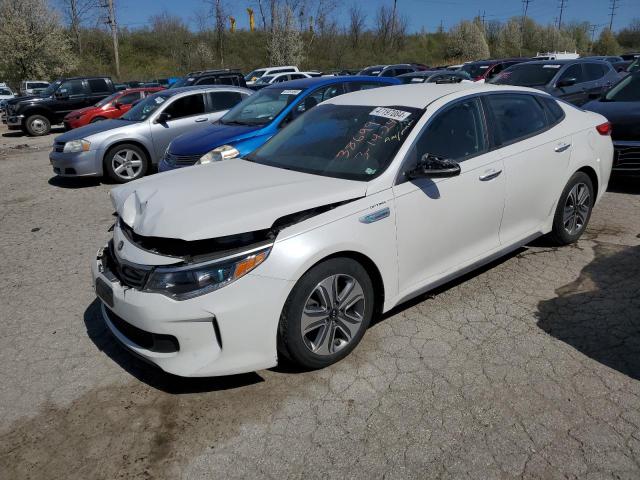 KIA OPTIMA 2017 knagu4le5h5017843