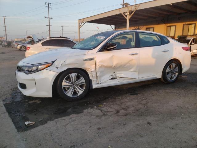 KIA OPTIMA 2019 knagu4le6k5032567