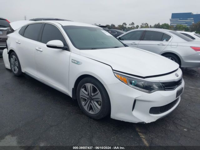 KIA OPTIMA 2017 knagu4le8h5012989