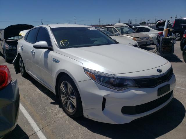 KIA OPTIMA HYB 2017 knagu4lexh5011066