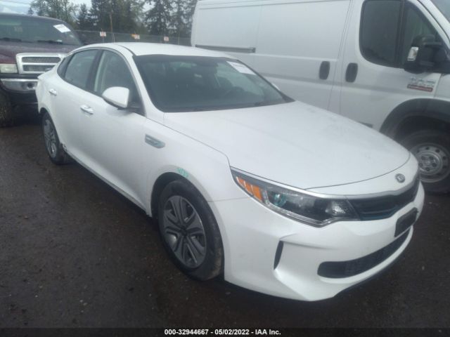 KIA OPTIMA 2017 knagv4ld3h5012936