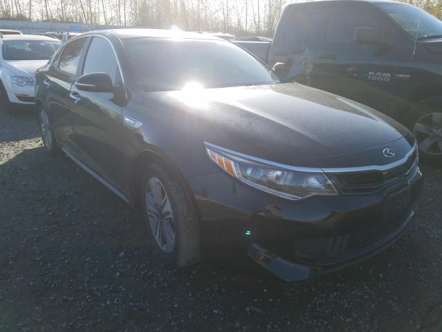 KIA OPTIMA 2016 knagv4ld4h5009155