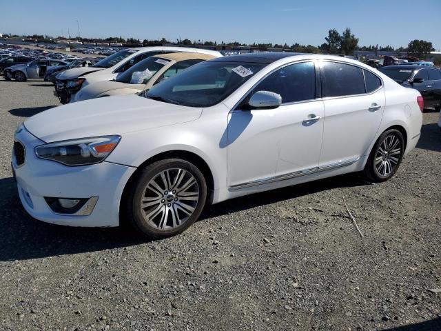 KIA CADENZA 2014 knaln4d70e5134527