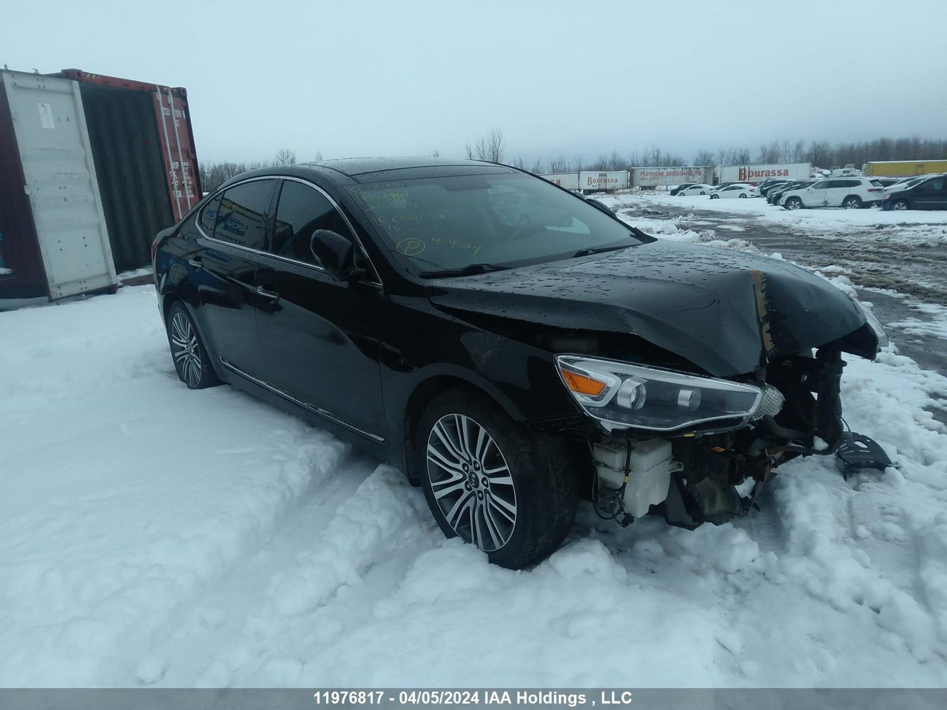 KIA CADENZA 2016 knaln4d70g5202554