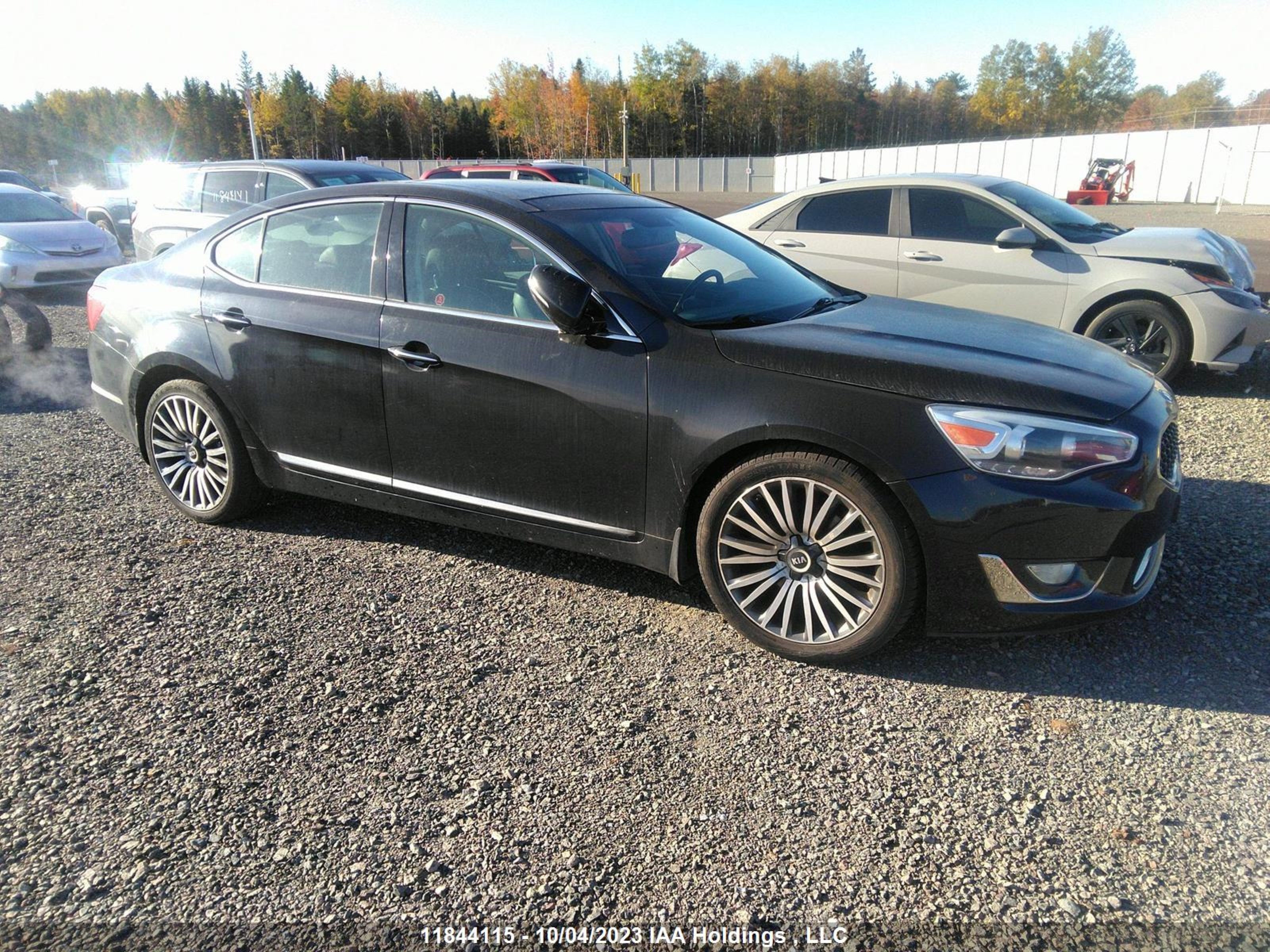 KIA CADENZA 2014 knaln4d71e5120572