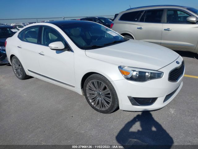 KIA CADENZA 2014 knaln4d71e5144287