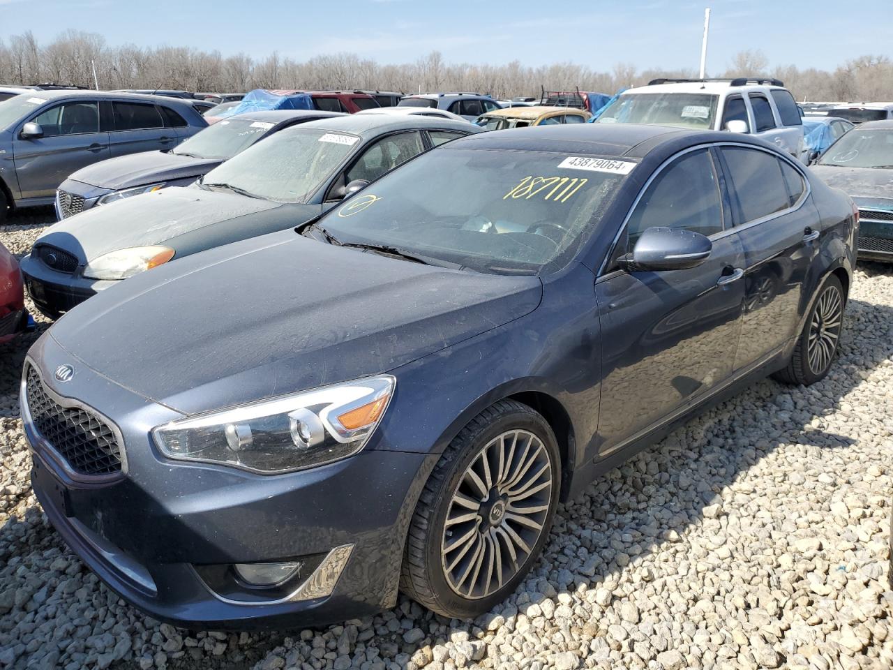 KIA CADENZA 2015 knaln4d71f5187111