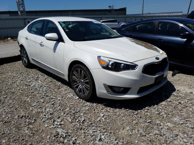 KIA CADENZA PR 2014 knaln4d72e5159302