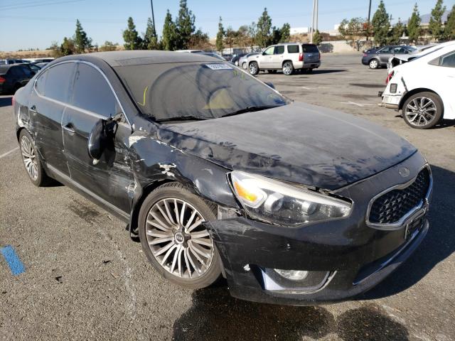 KIA CADENZA PR 2014 knaln4d74e5129461