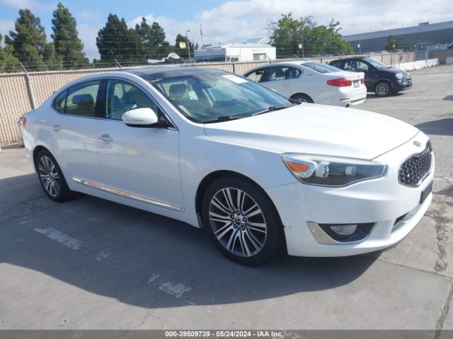 KIA CADENZA 2014 knaln4d75e5126391