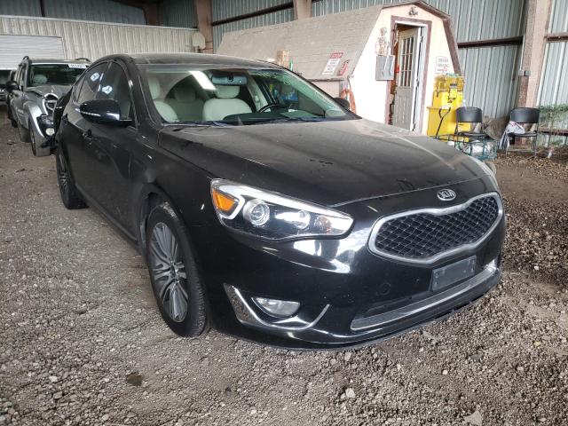 KIA CADENZA LU 2016 knaln4d75g5209256