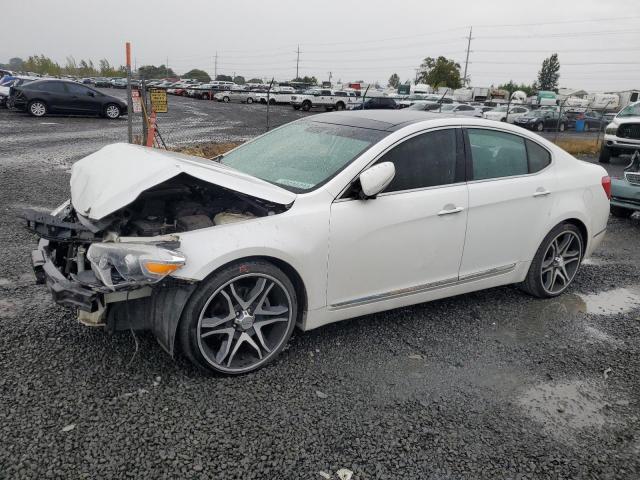 KIA CADENZA 2014 knaln4d76e5133916