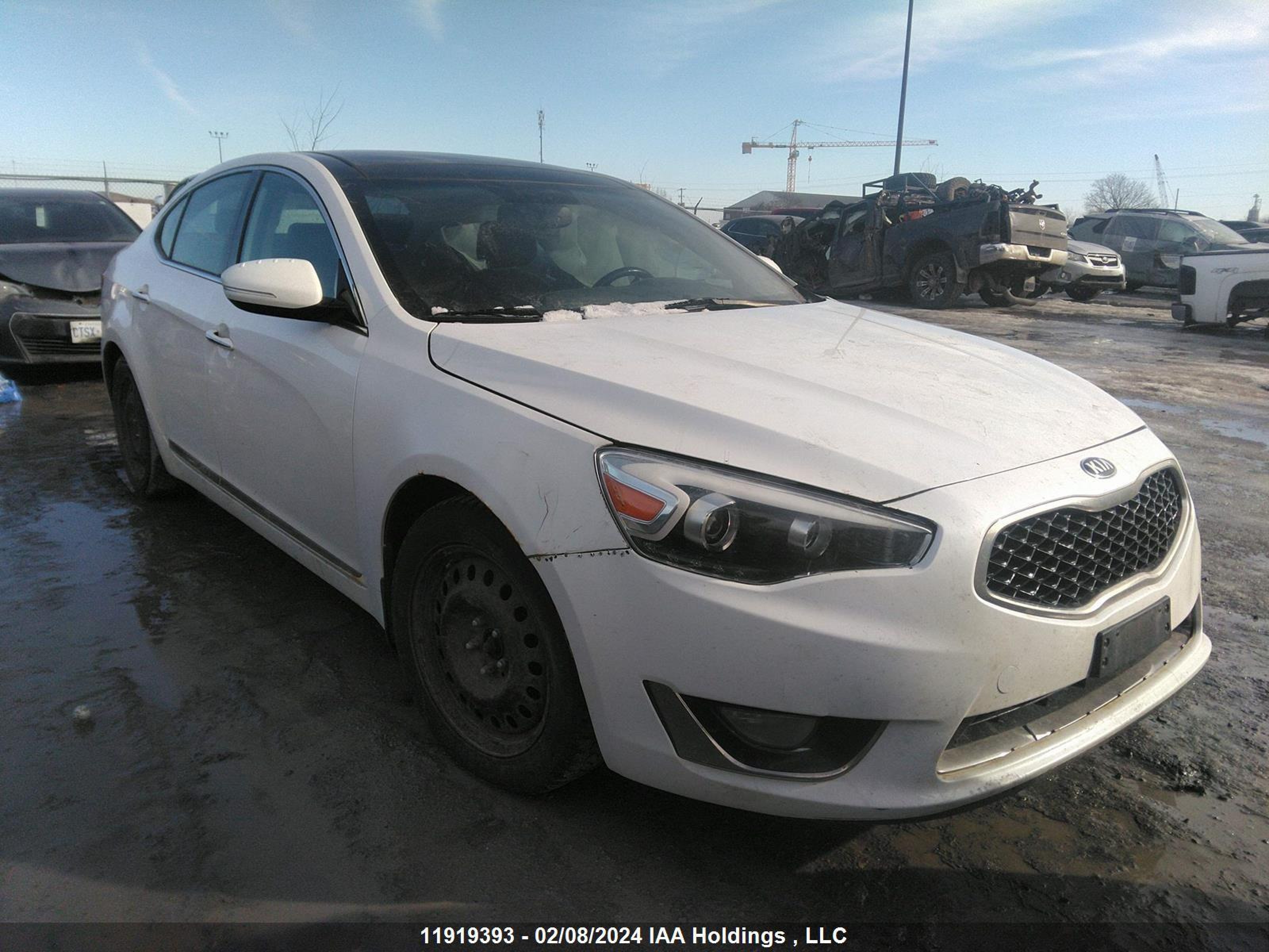 KIA CADENZA 2016 knaln4d76g5199806