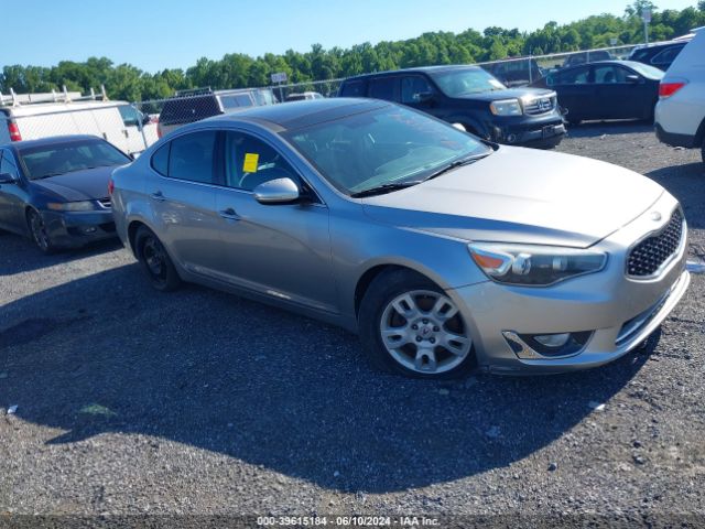 KIA CADENZA 2014 knaln4d77e5123296