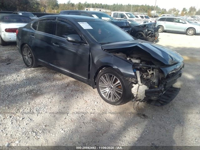 KIA CADENZA 2014 knaln4d77e5129440