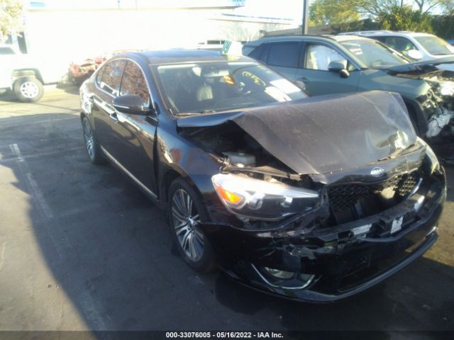 KIA CADENZA 2014 knaln4d77e5146917