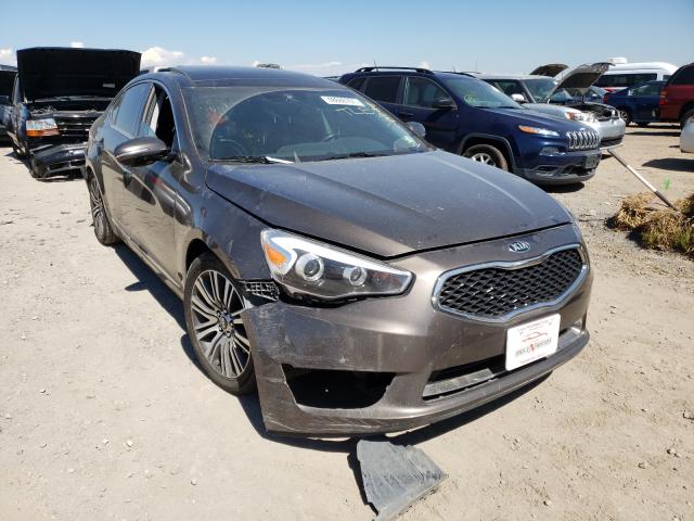 KIA CADENZA PR 2014 knaln4d78e5120570