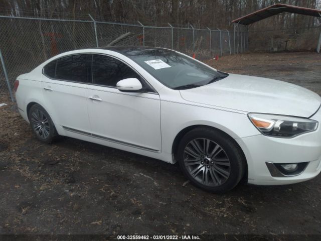 KIA CADENZA 2014 knaln4d78e5130662