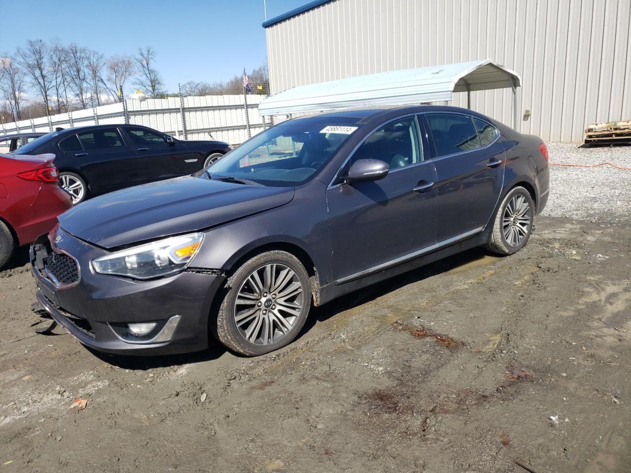 KIA CADENZA 2014 knaln4d79e5153092