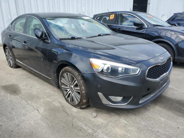 KIA CADENZA 2014 knaln4d7xe5131747