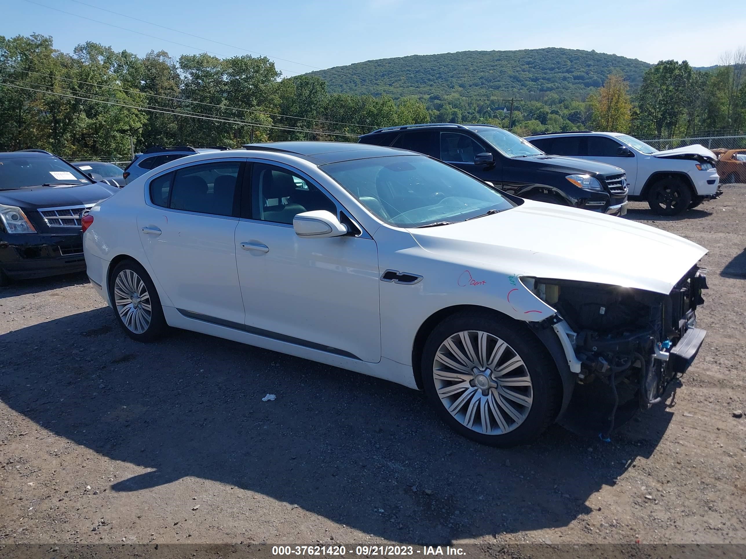 KIA K900 2015 knalu4d4xf6026274