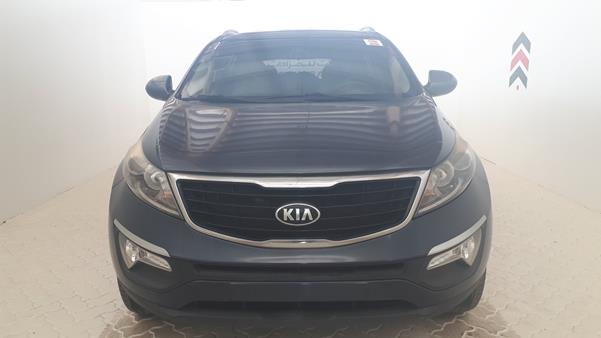 KIA SPORTAGE 2016 knapb8105g7831008