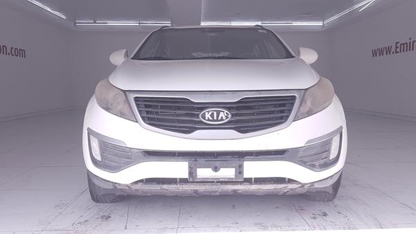 KIA SPORTAGE 2013 knapb8119d7315369