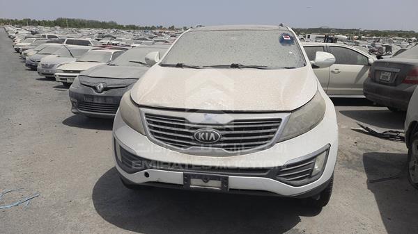 KIA SPORTAGE 2013 knapc8111d7354857