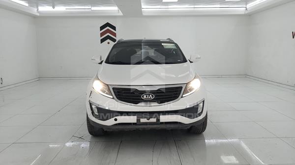 KIA SPORTAGE 2013 knapc8121d7450917