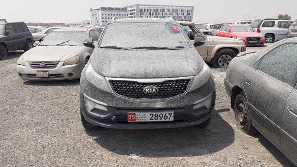 KIA SPORTAGE 2015 knapc8126f7721375