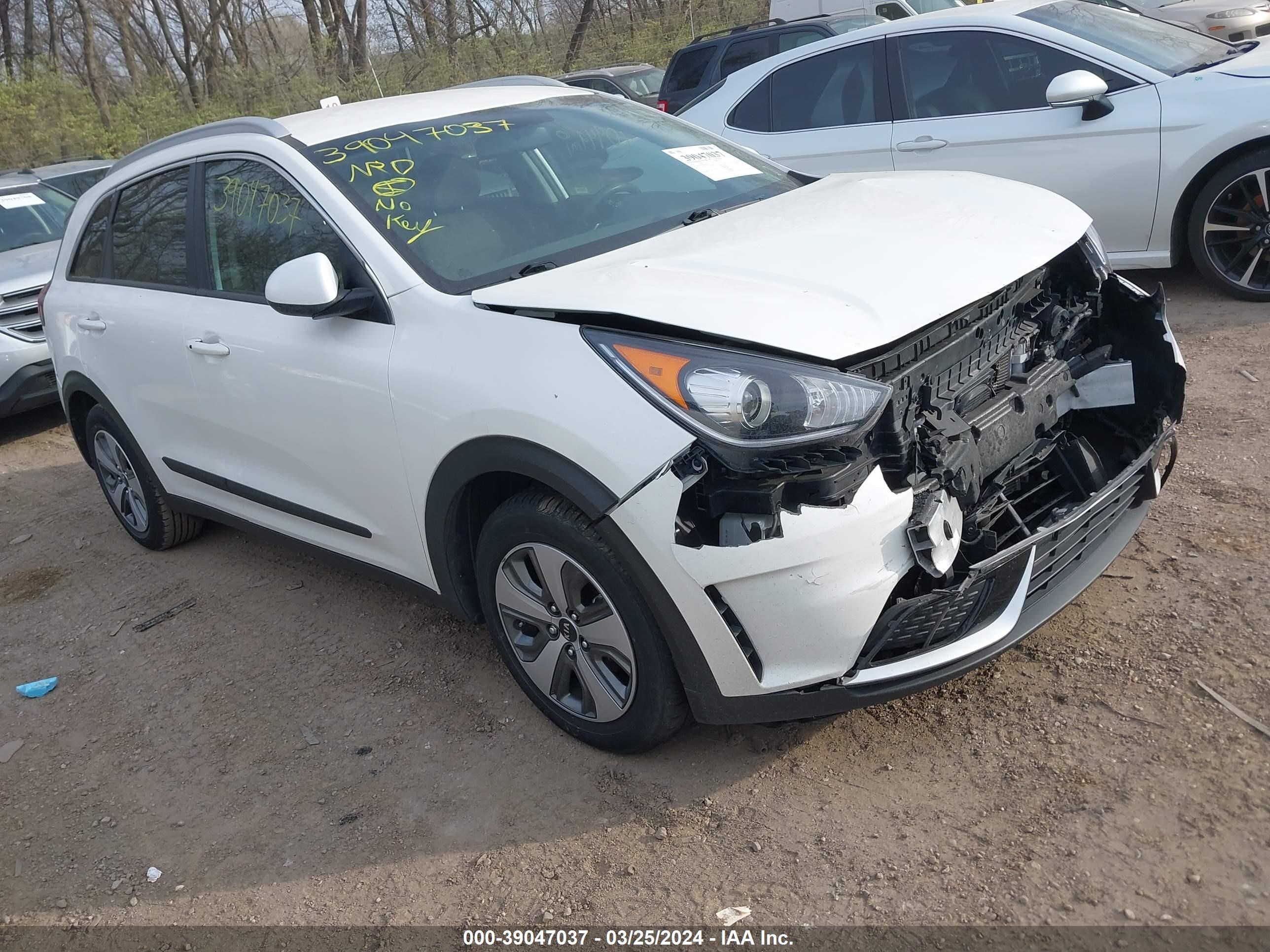 KIA NIRO 2019 kndcb3lc0k5244252