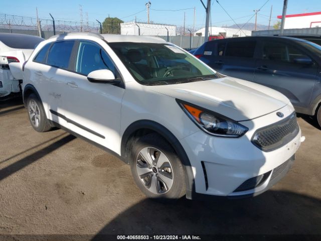 KIA NIRO 2019 kndcb3lc0k5244395