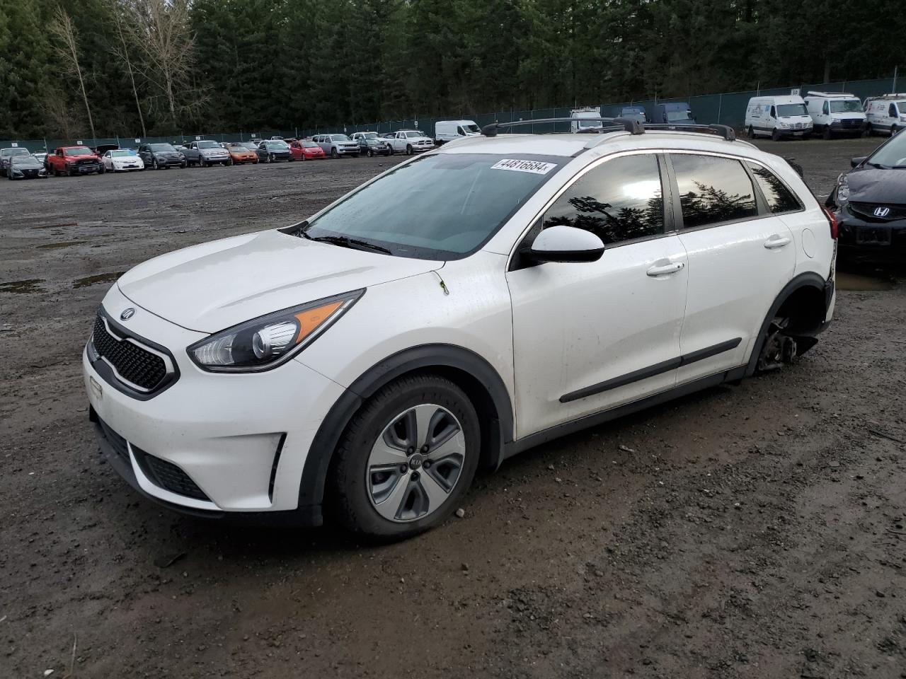 KIA NIRO 2019 kndcb3lc9k5316162