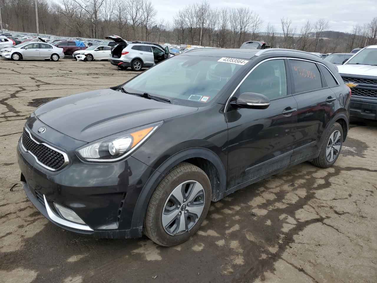 KIA NIRO 2017 kndcc3lc5h5049513