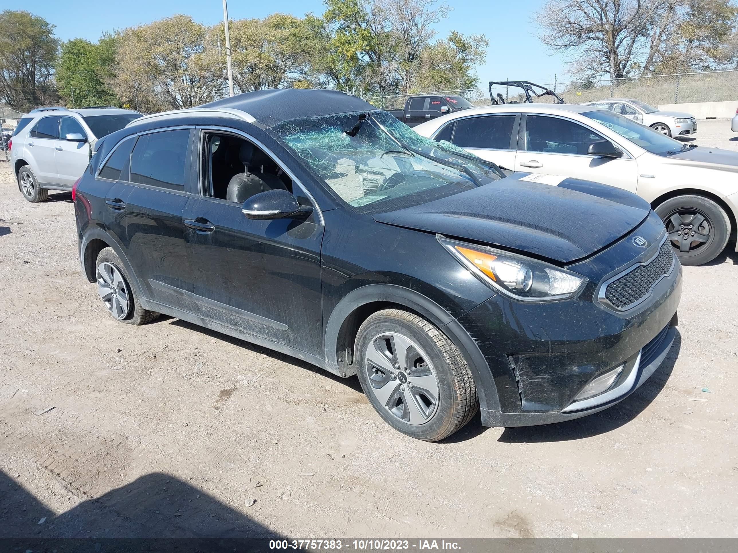 KIA NIRO 2019 kndcc3lc6k5221698