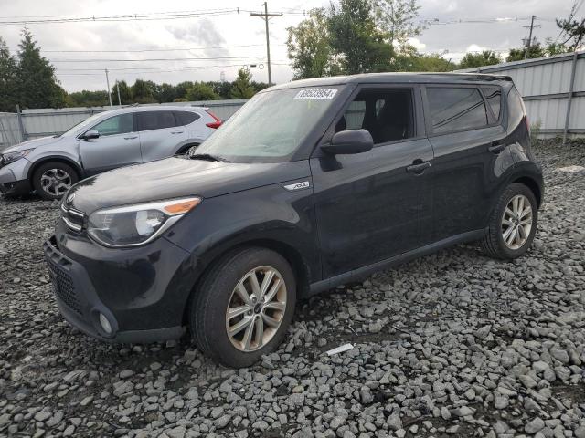 KIA SOUL + 2017 kndjp3a55h7454050