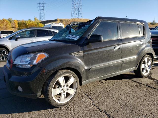 KIA SOUL + 2010 kndjt2a22a7046297