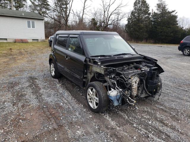 KIA SOUL + 2011 kndjt2a26b7294487