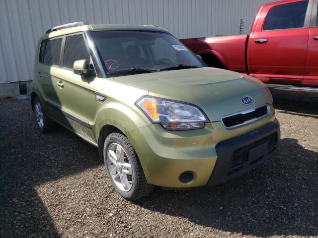 KIA SOUL + 2011 kndjt2a27b7246142