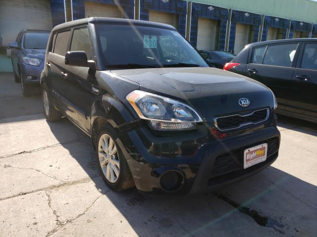 KIA SOUL 2013 kndjt2a56d7551581